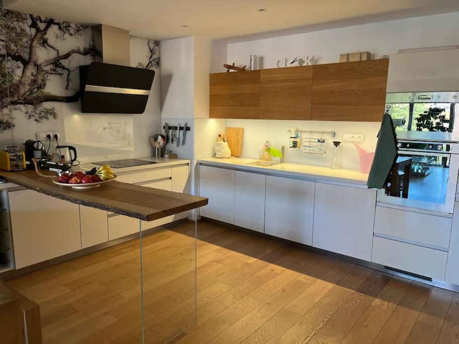 Apartment In Historical Center With Park View Plzen Exterior photo