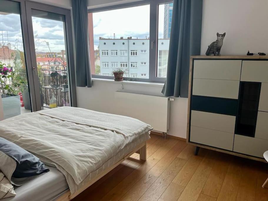 Apartment In Historical Center With Park View Plzen Exterior photo